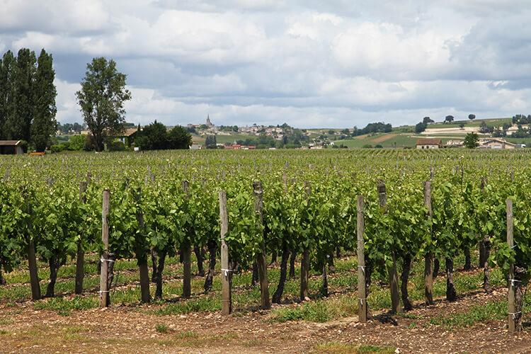 Château Barrail du Blanc